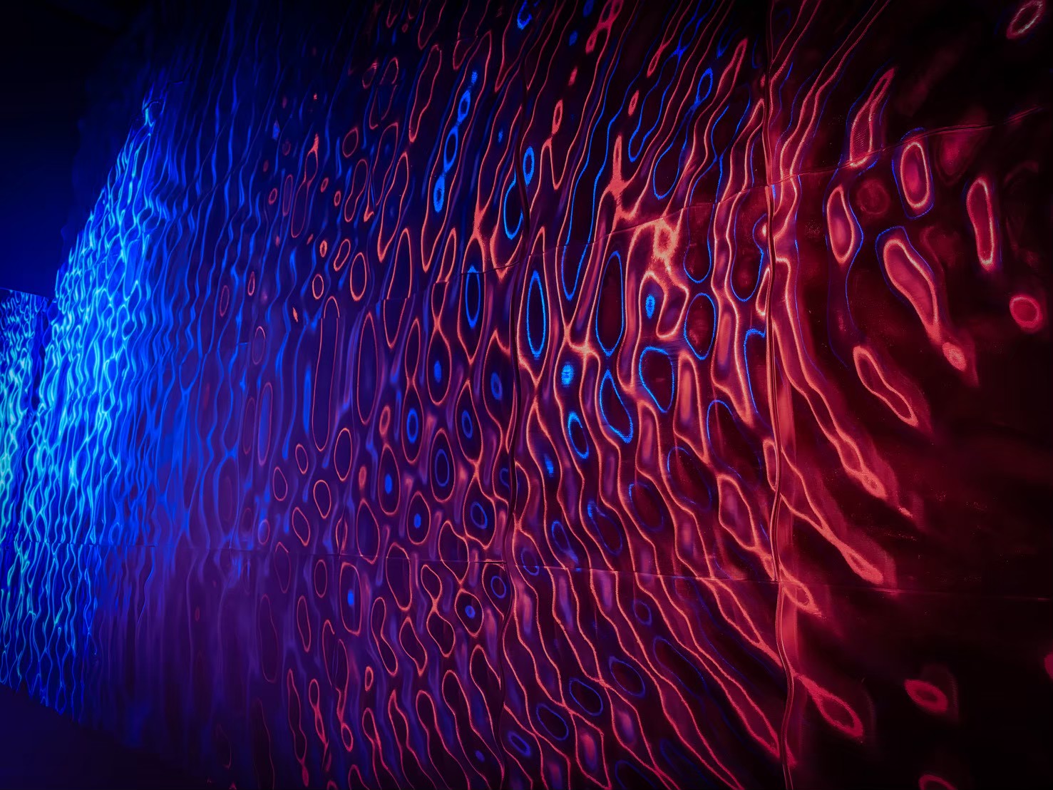 NOTIC — Objects into Experience